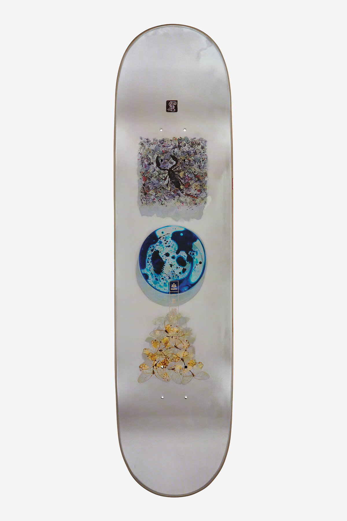 Globe - G2 Rholtsu - Empilement - 8.25" (en anglais) Skateboard Deck