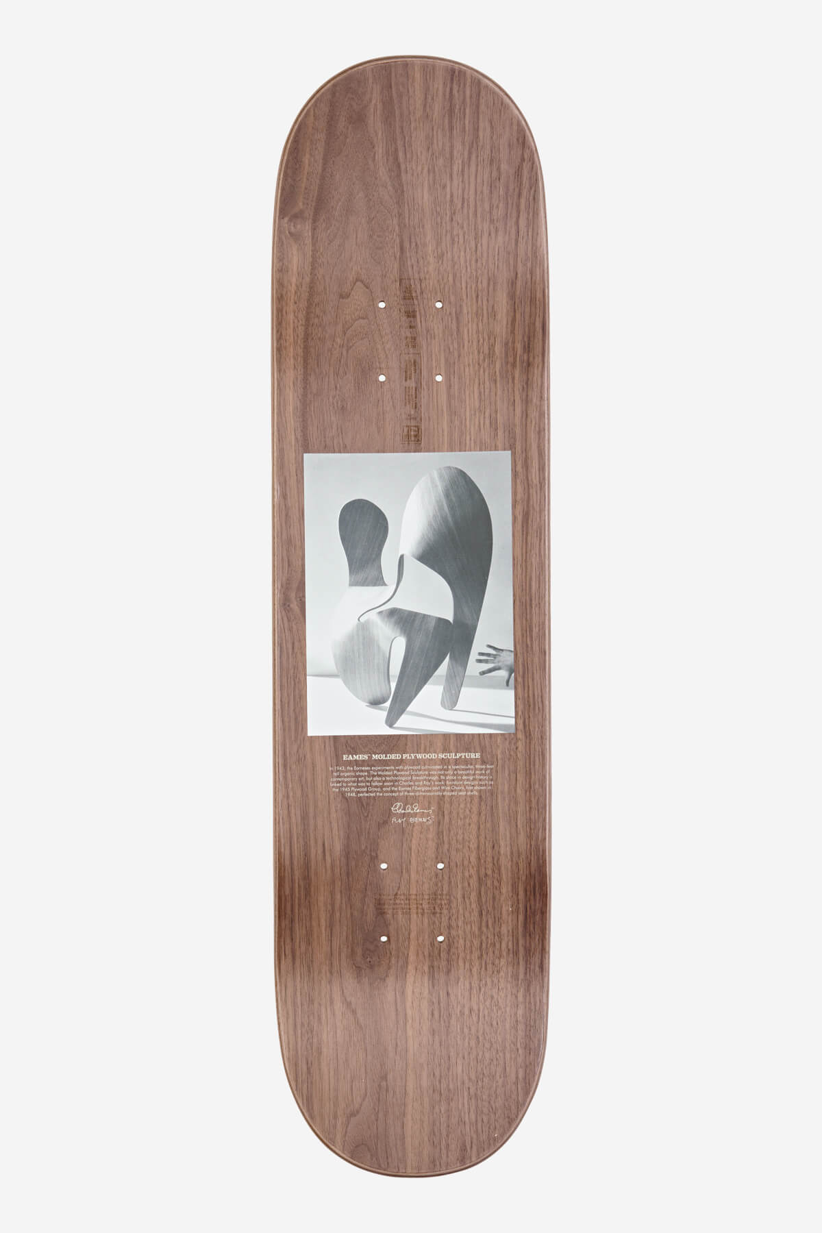 Globe - Eames silhouet - Plywood Sculpture - 8.0" Skateboard Deck