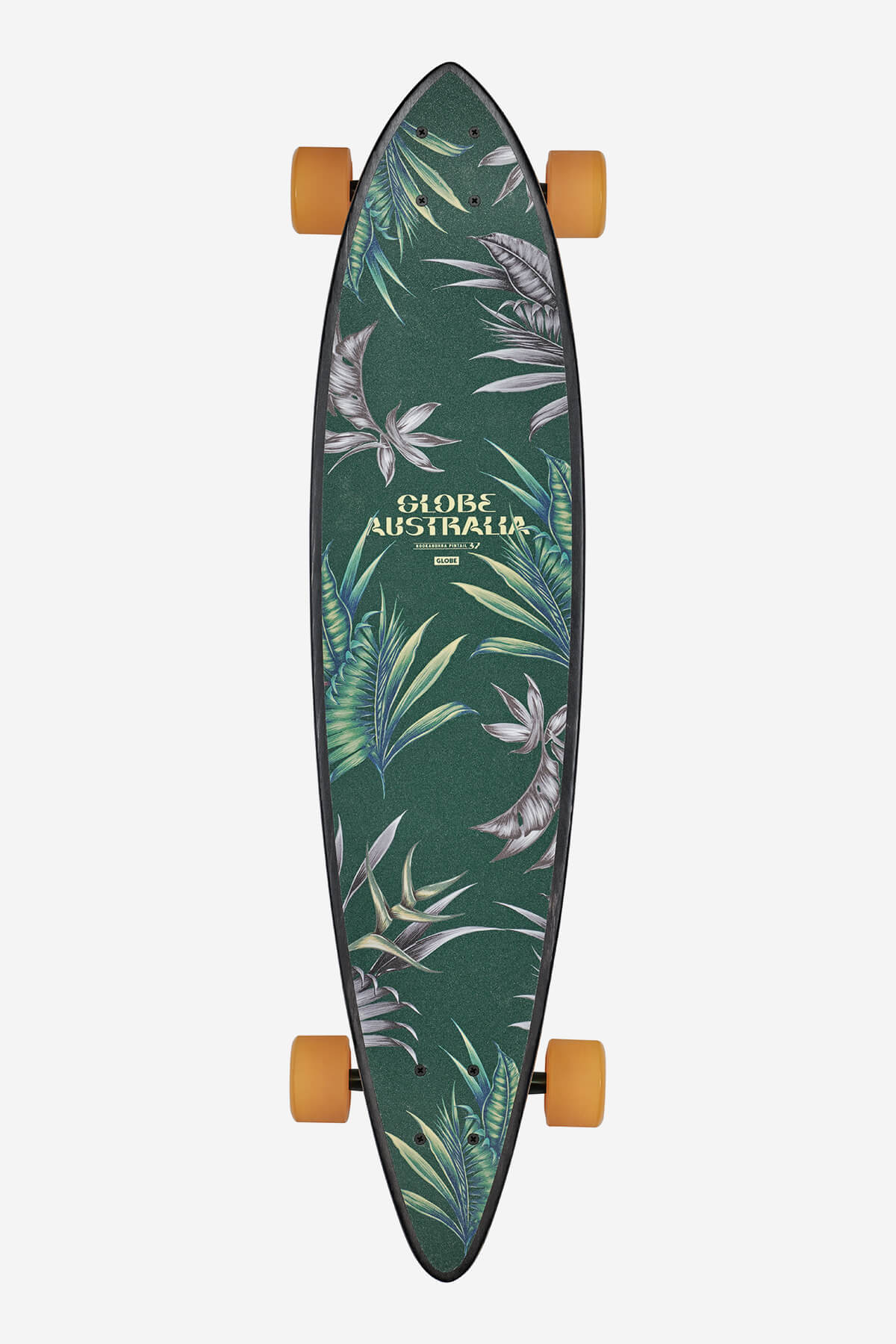 Globe - Pintail - Kookabura - 37" Longboard