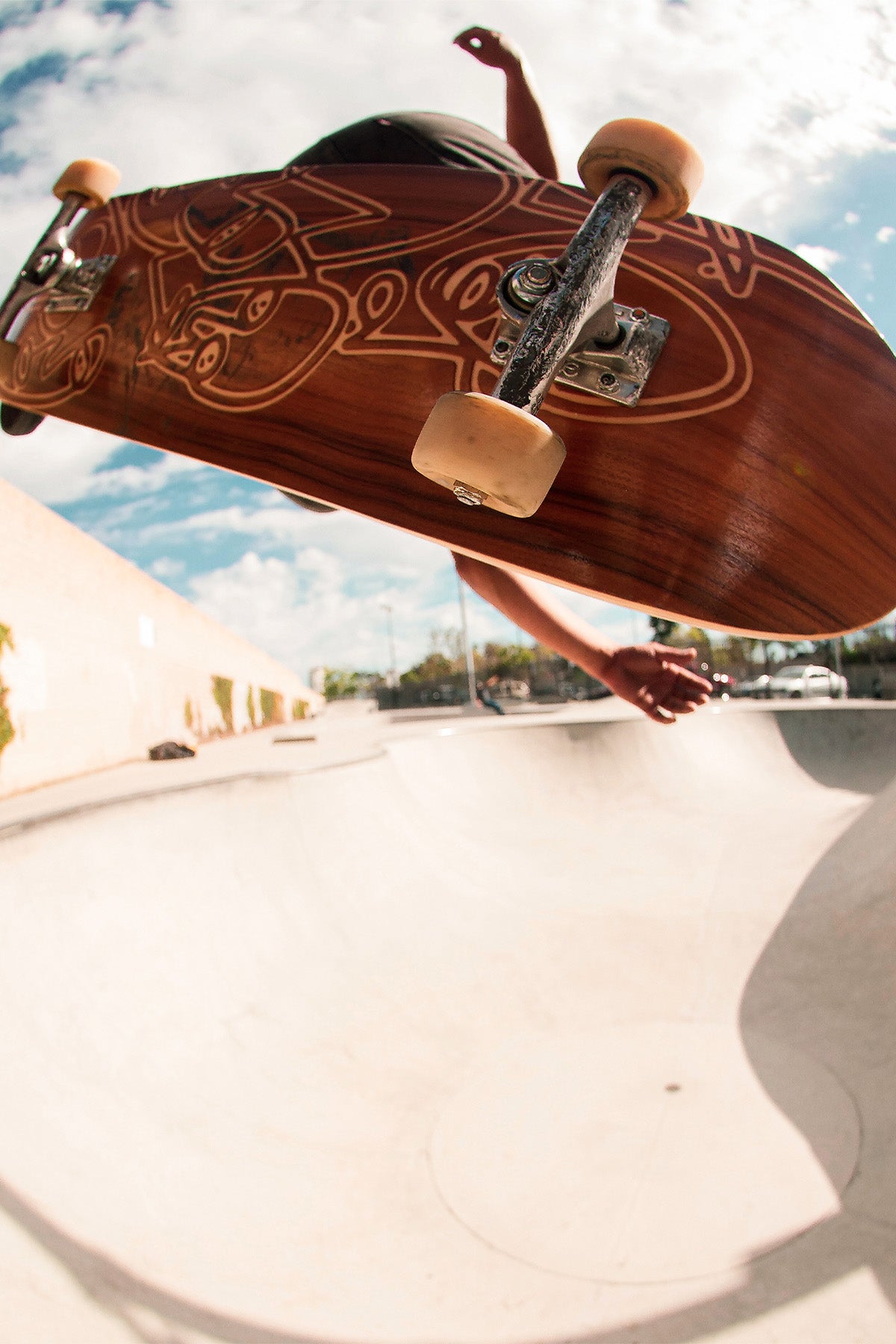 Sonny Mountain 9.75 Deck - Faces Diptych