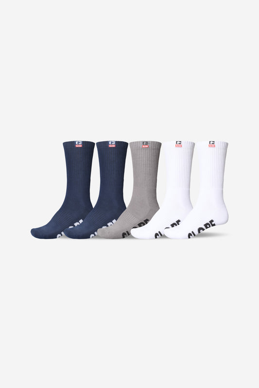 Globe - Woven Logo Hi Crew Sock 5 Pack - Assorted