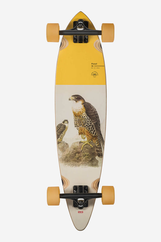 pintail falcon 34" longboard