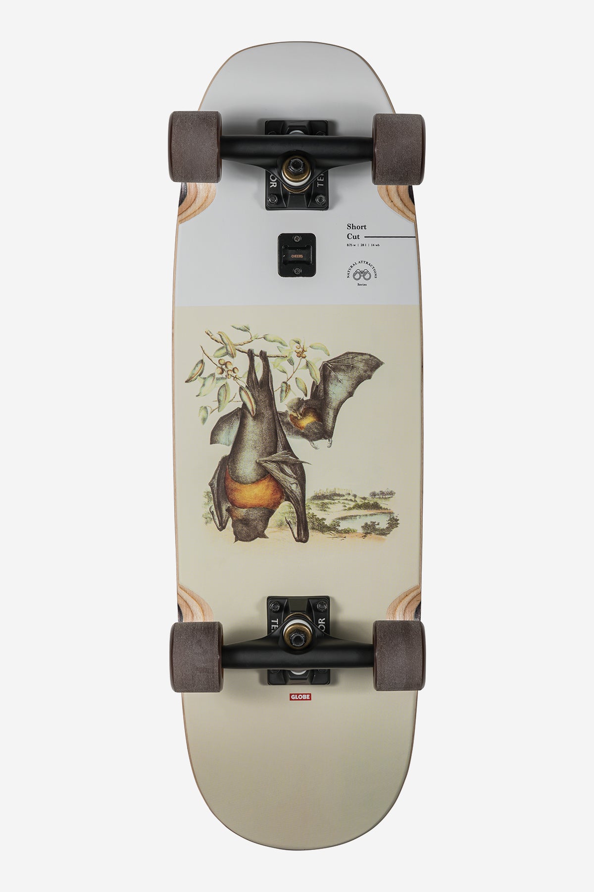 coupe courte flying foxes 8.75" cruiserboard