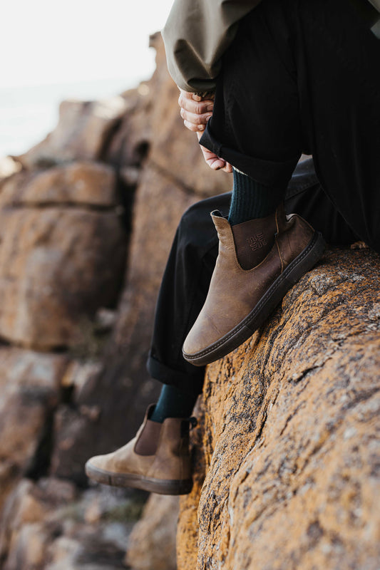 Globe - Dover Ii - Dark Brown/Wasted Talent - Skate Shoes