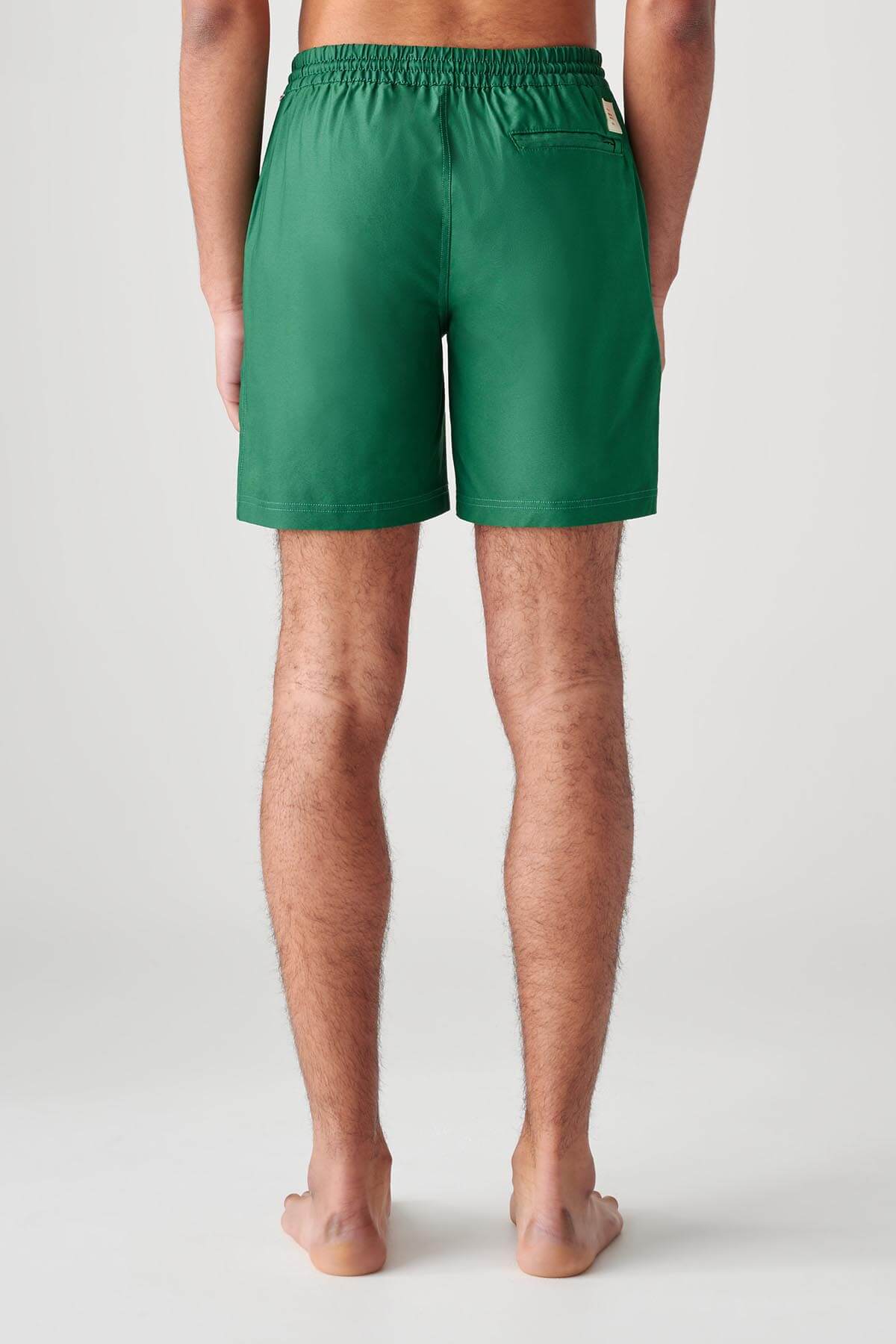 clean swell poolshort palm